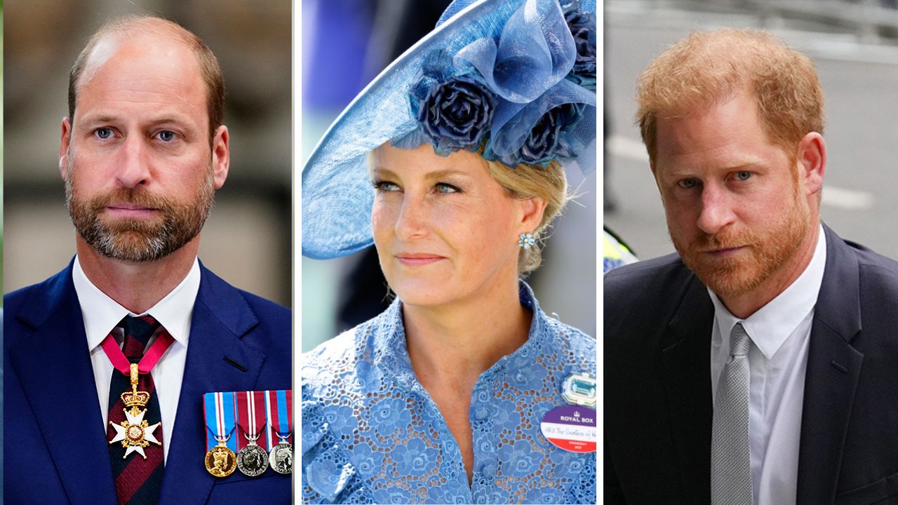 Prince William, Prince Harry and Duchess Sophie