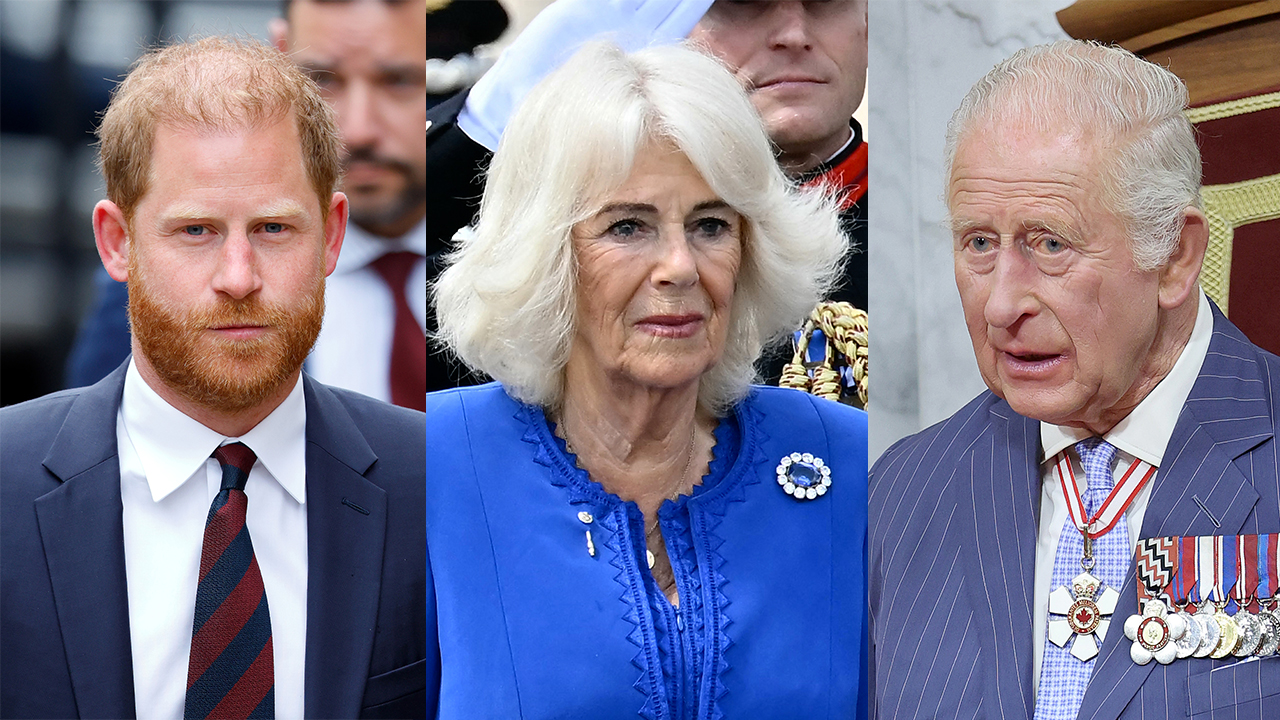 Prince Harry, Camilla, King Charles