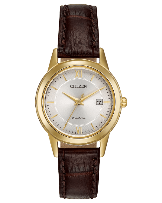 Citizen Corso Watch