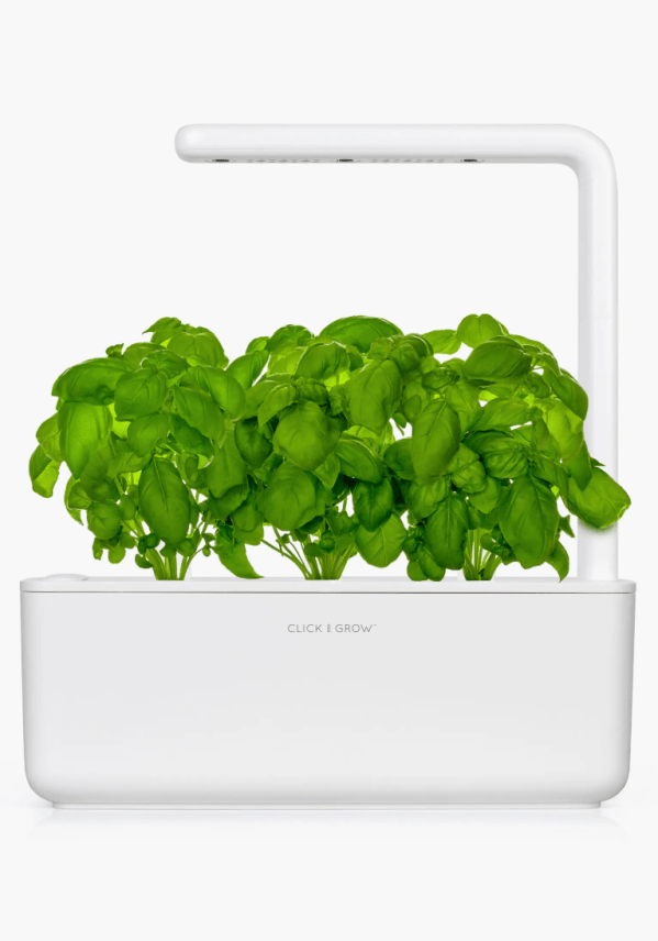 30 Best Last-Minute Gifts to Buy From Nordstrom 2025